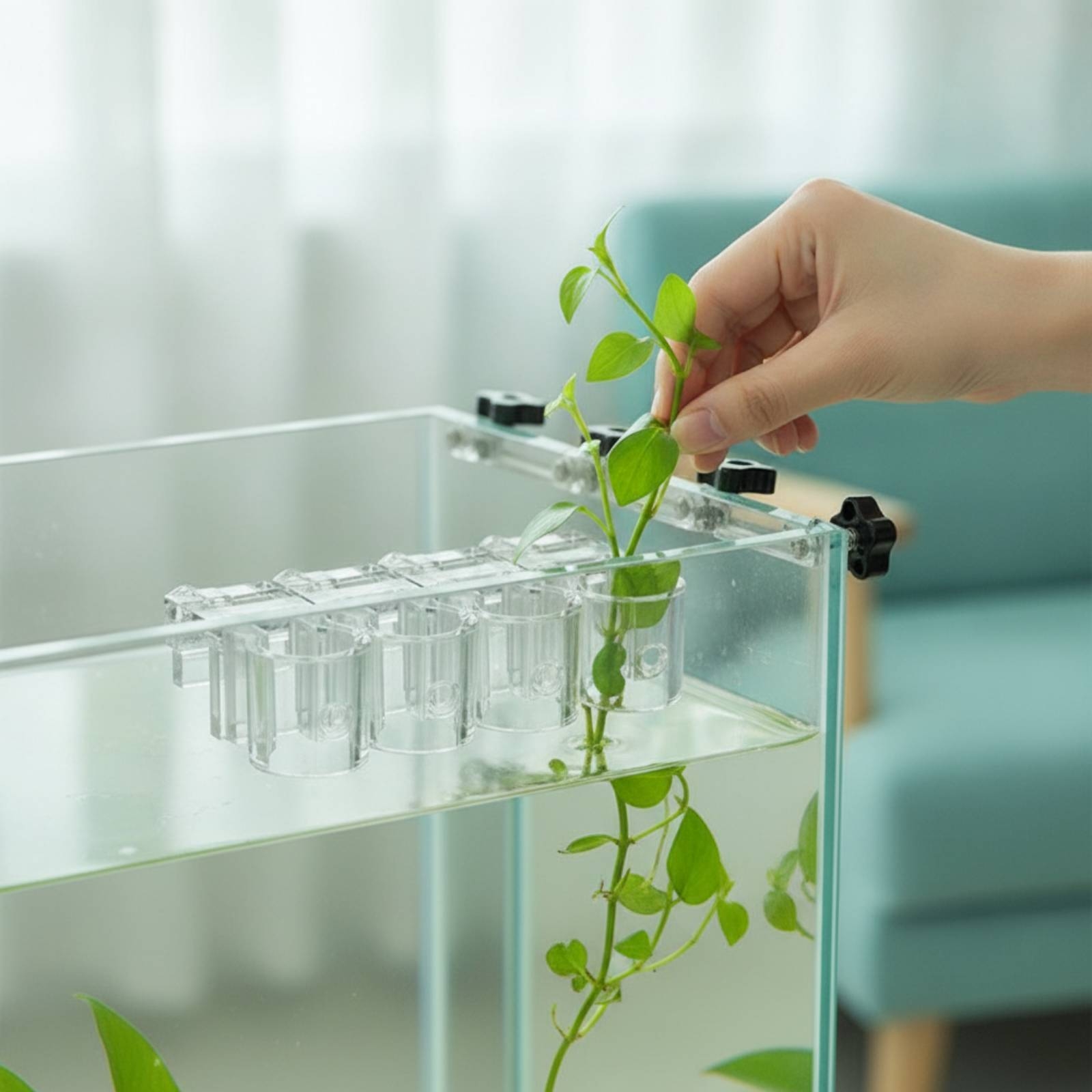Aquarium Plants - Lot de 6 supports transparents pour