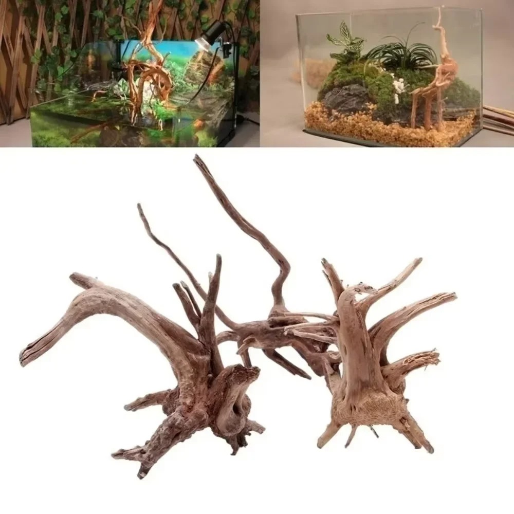Aquarium Planting Ideas - Décoration d'aquarium en bois flotté naturel