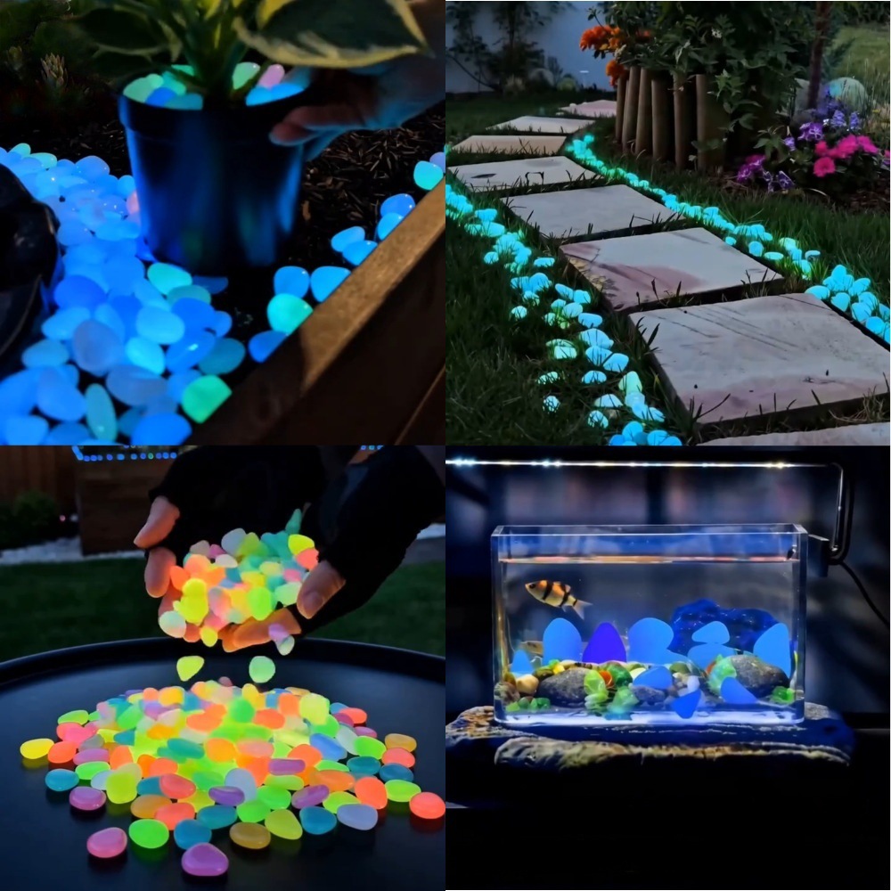 Aquarium Plant In Pot - Galets lumineux colorés qui brillent dans
