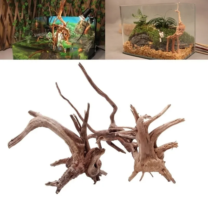 Aquarium Plant Root Tabs - Tronc d'Arbre Naturel en Bois Flotté