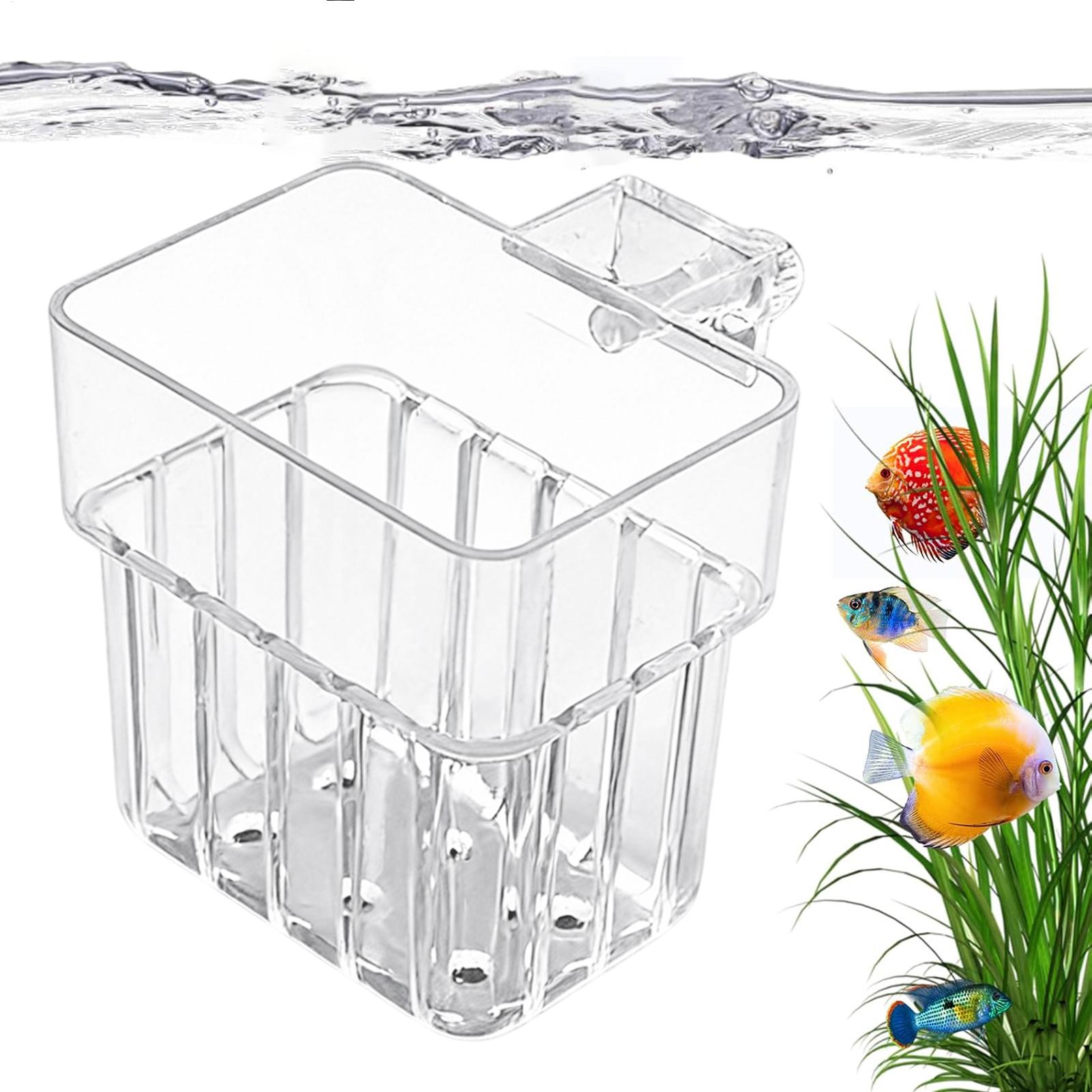 Aquarium Planting Ideas - Support transparent suspendable pour plantes d'aquarium,