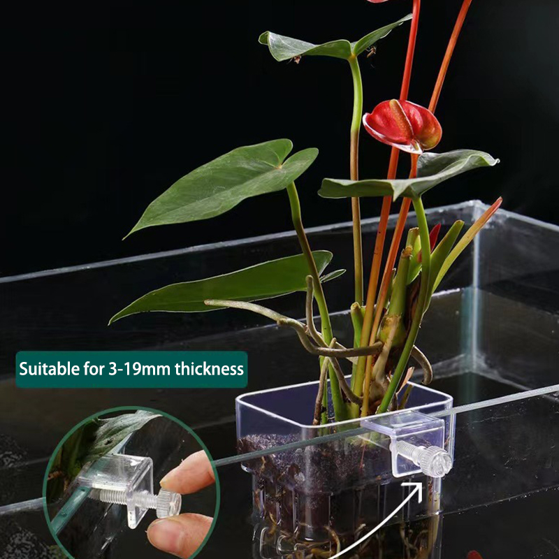 Aquarium Planted Fish Tank - Tasse de plantation d'eau d'aquarium de