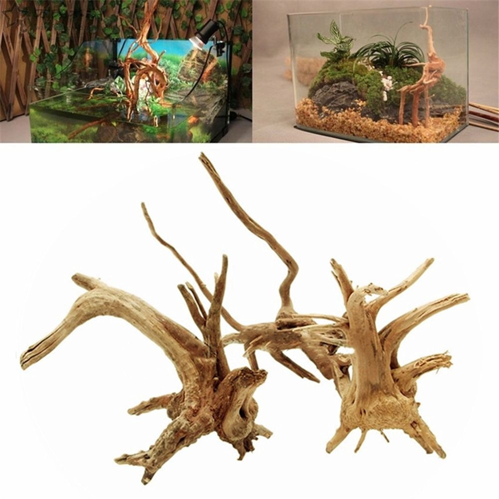 Décorations Précieuses de Pois - Aquarium Plant Root Tabs avis et prix