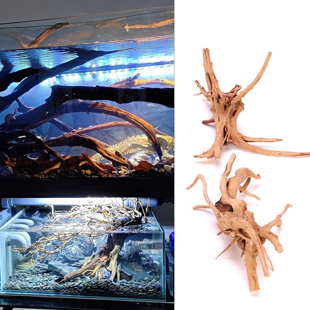 Décorations Précieuses de Pois - Aquarium Plant Root Tabs avis et prix