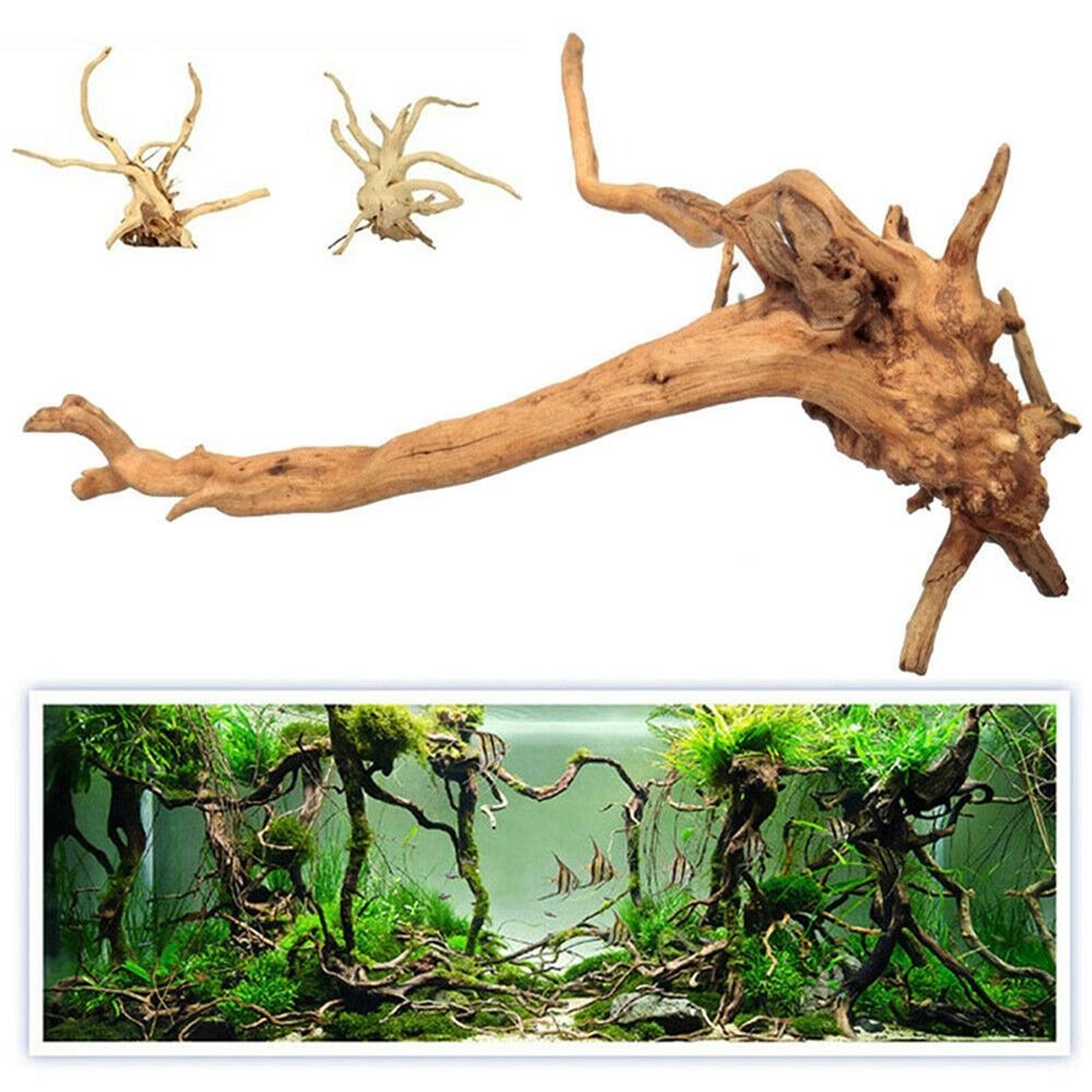 Décorations Précieuses de Pois - Aquarium Plant Root Tabs avis et prix