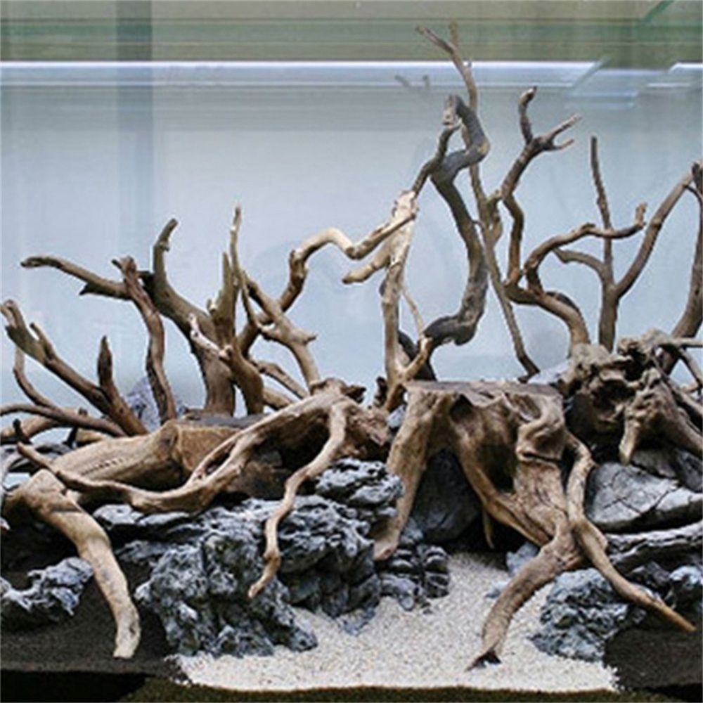Décorations Précieuses de Pois - Aquarium Plant Root Tabs avis et prix