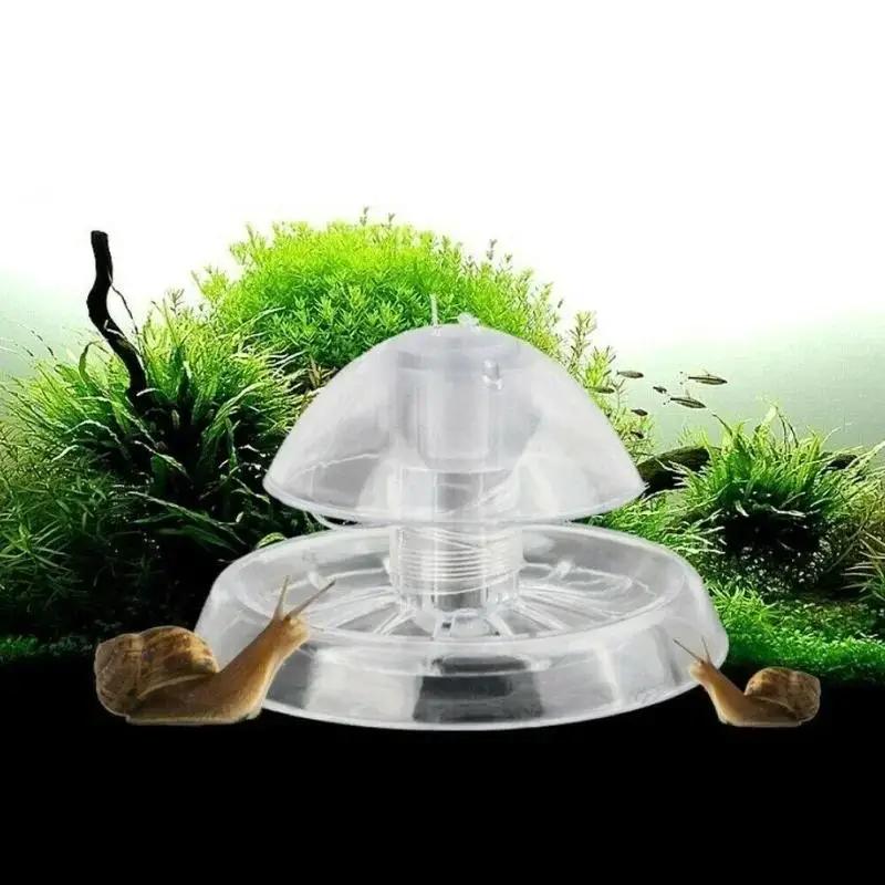 Nouvelle boîte piège à escargo - Aquarium Planted Fish Tank avis et prix