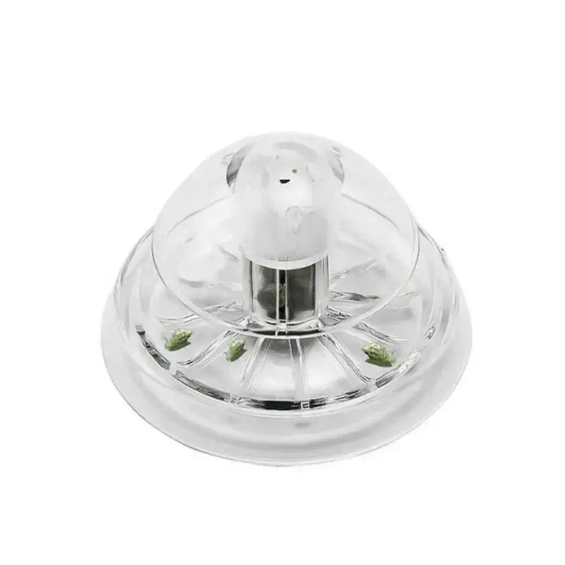 Nouvelle boîte piège à escargo - Aquarium Planted Fish Tank avis et prix