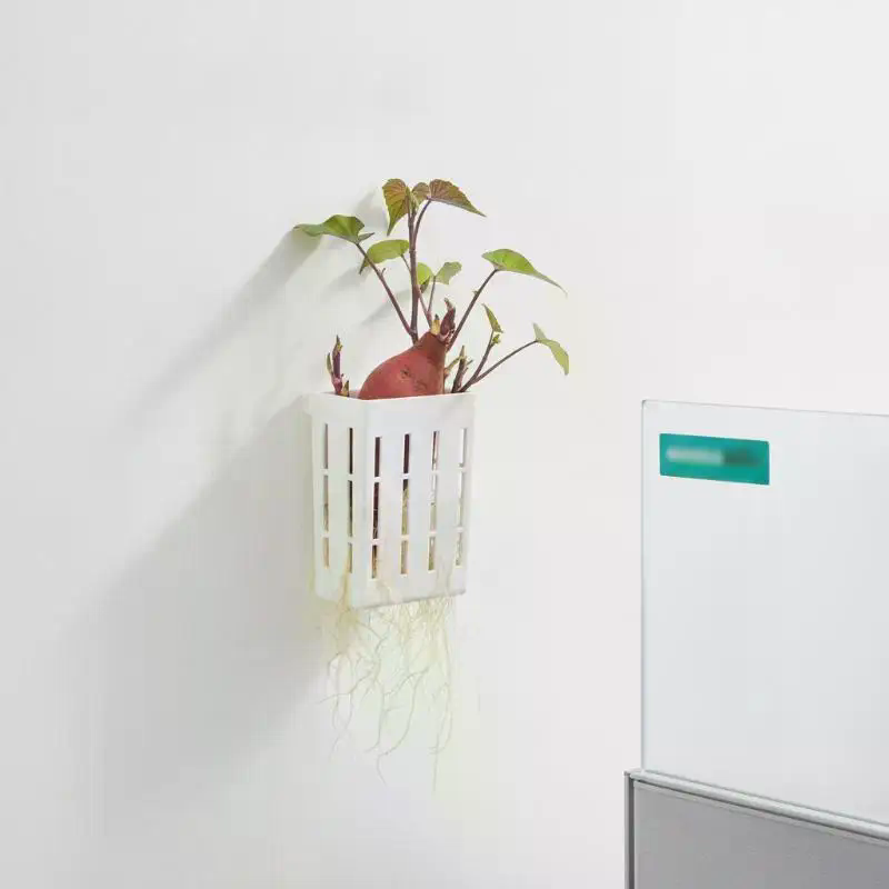 1 pièce Panier de support hydr - Aquarium Plant In Pot avis et prix