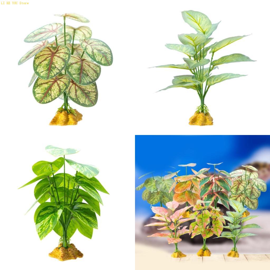 W3JE – décoration d'herbe réal - Planted Aquarium Jungle avis et prix