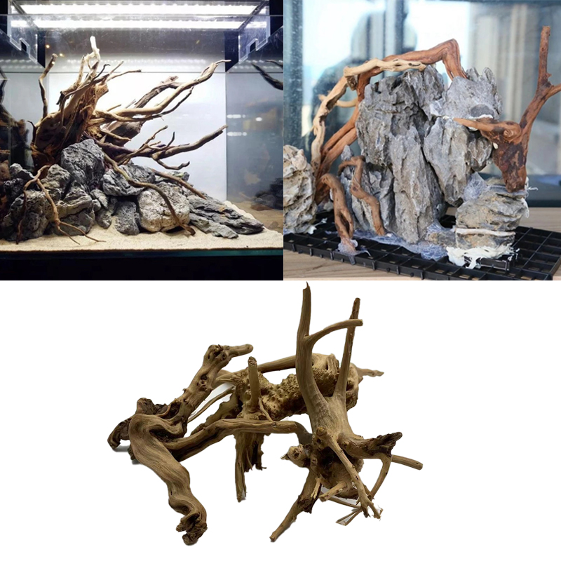 Tronc d'arbre naturel en bois  - Aquarium Plant Root Tabs avis et prix