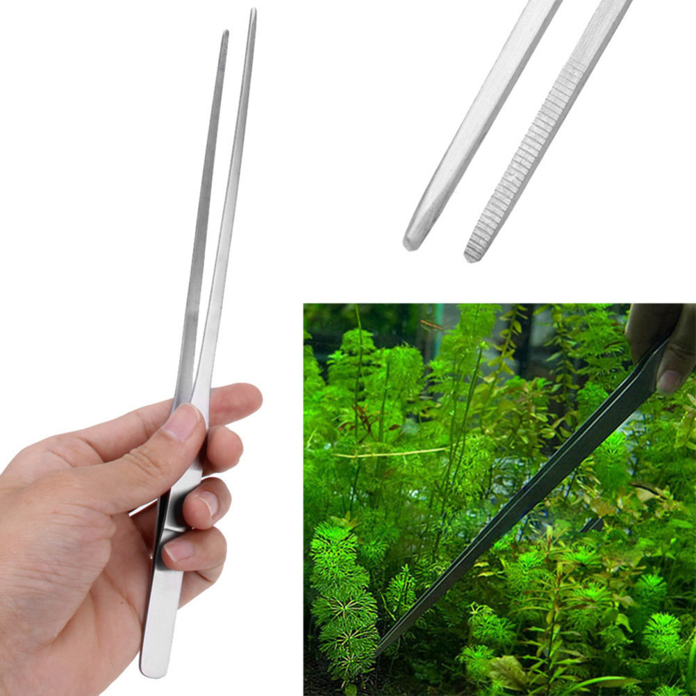 Pince droite en acier inoxydab - Planted Aquarium Carpet Plant avis et prix