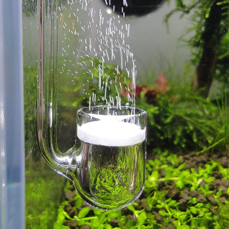 Diffuseur de CO2 en verre atom - Glass Co2 Drop Checker avis et prix