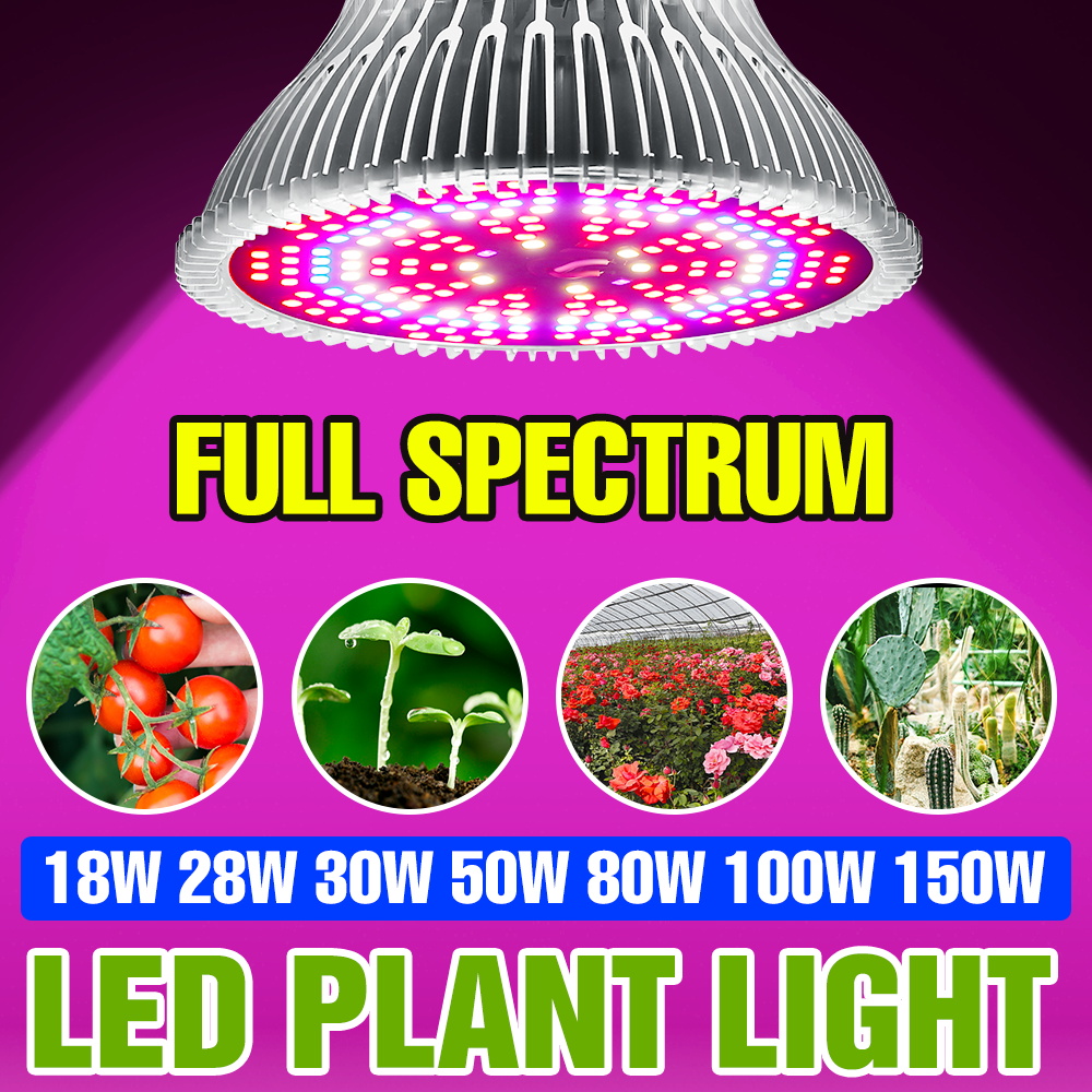 Ampoule LED pour plantes à spe - Aquarium Plant Root Tabs avis et prix