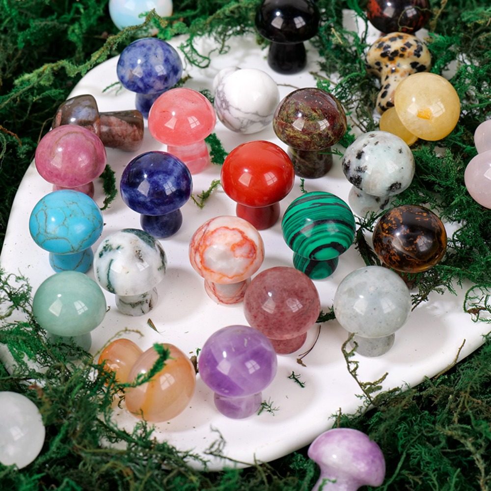 Cristal naturel champignon pie - Planted Aquarium Jungle avis et prix