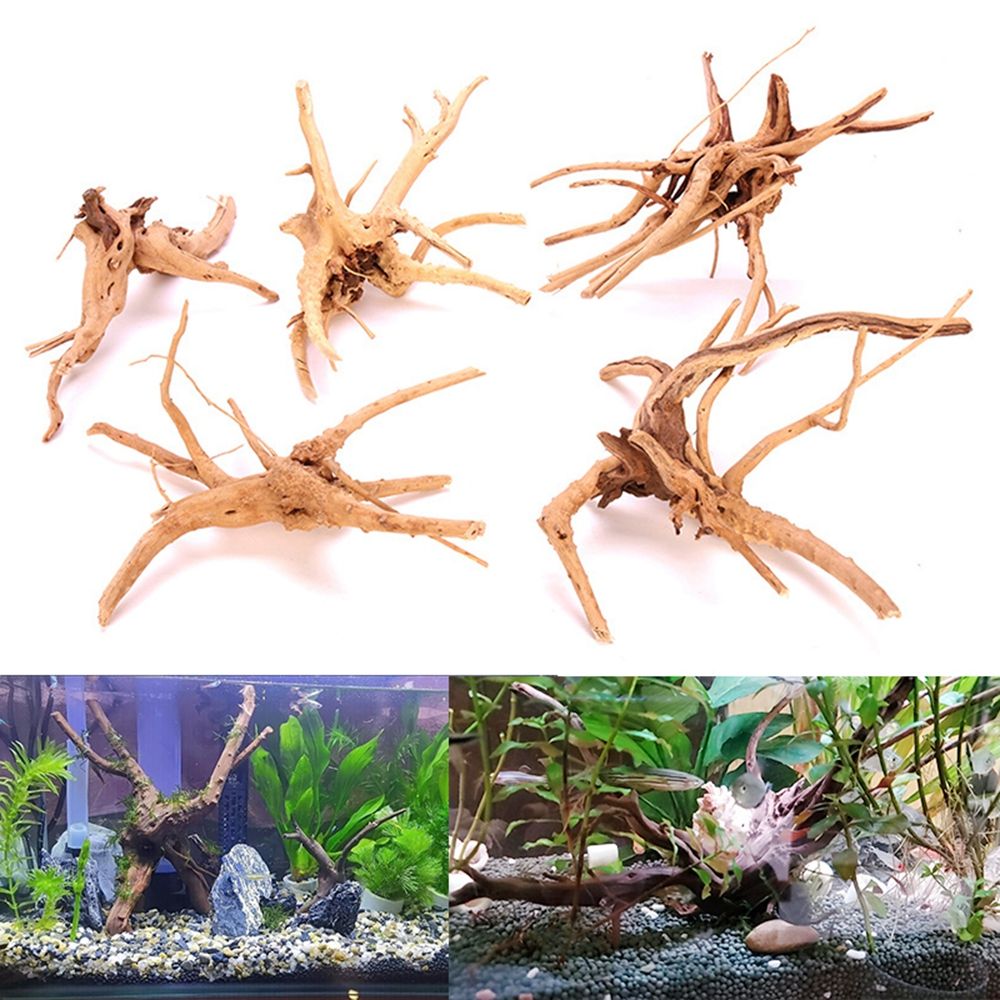 Tronc en bois naturel pour aqu - Aquarium Plant Root Tabs avis et prix