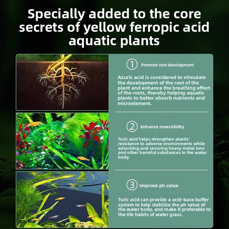 Engrais pour plantes d'aquariu - Planted Aquarium Carpet Plant avis et prix