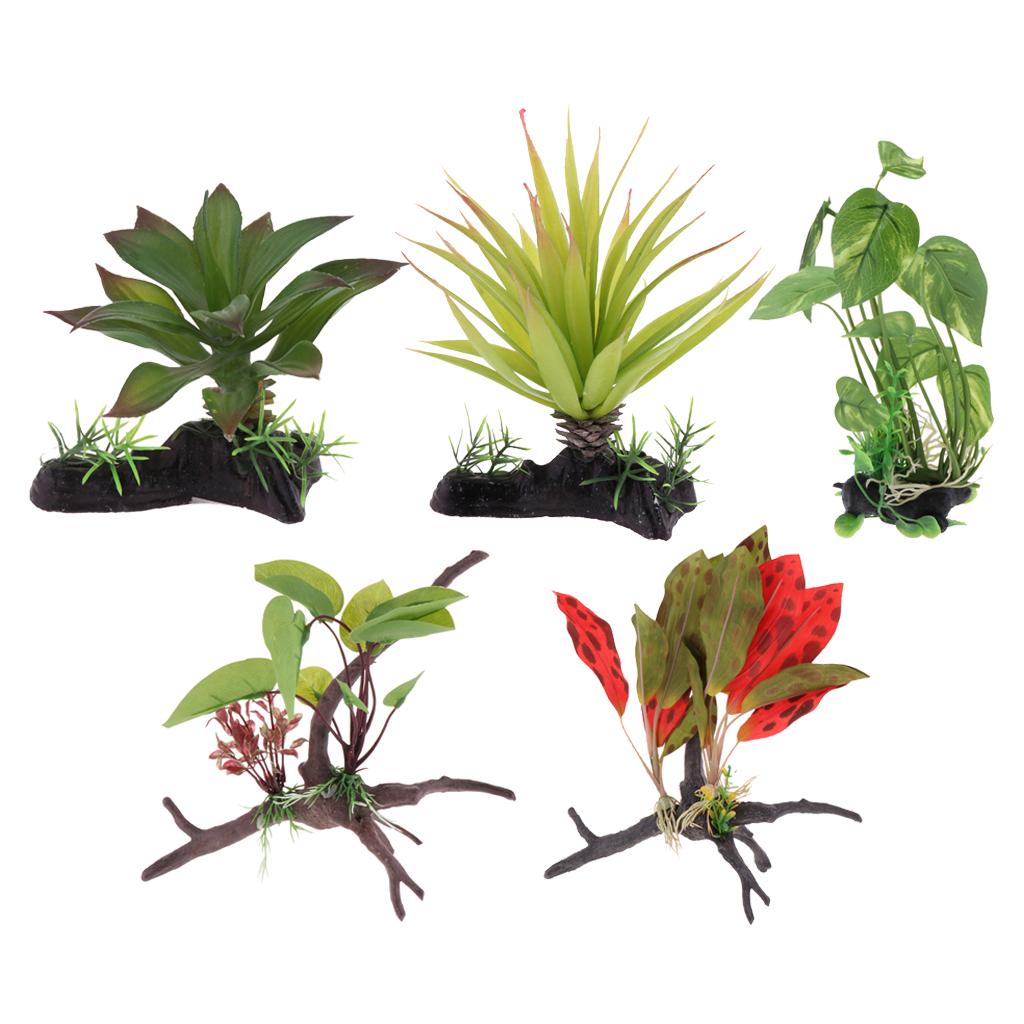 Plante de Terrarium de Reptile - Planted Aquarium Jungle avis et prix