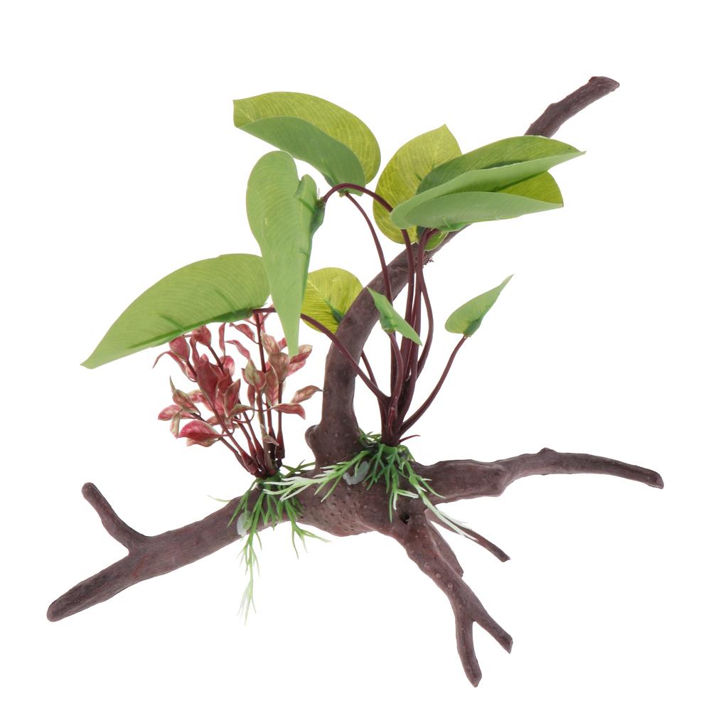 Plante de Terrarium de Reptile - Planted Aquarium Jungle avis et prix