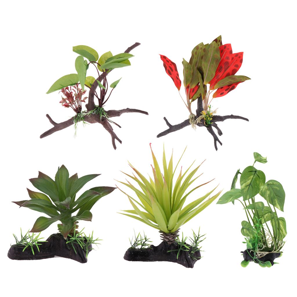 Plante de Terrarium de Reptile - Planted Aquarium Jungle avis et prix