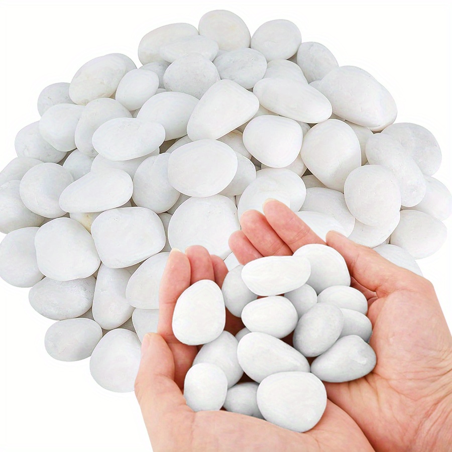 Cerfsets naturels blancs haute - Aquarium Plant In Pot avis et prix