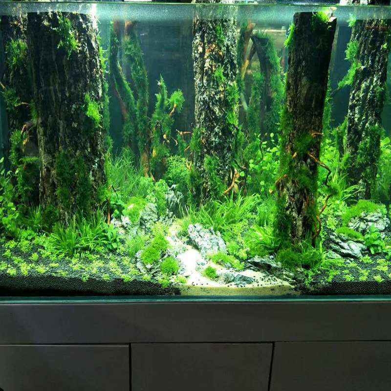 Simulation de tronc d'arbre co - Aquarium Plant Root Tabs avis et prix
