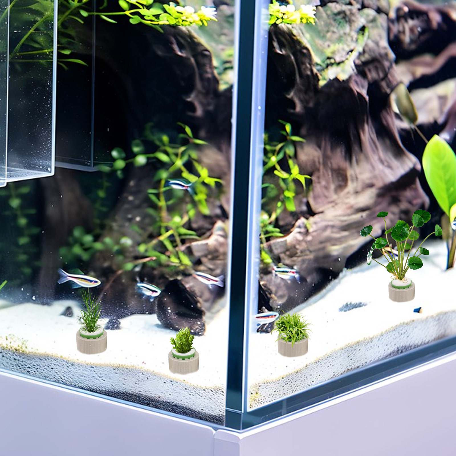 9 anneaux de fixation en céram - Aquarium Plant Roots avis et prix