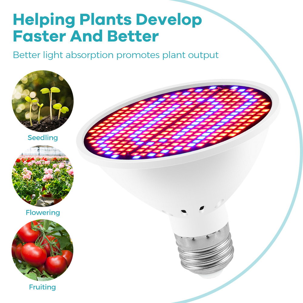 Lampe de croissance pour plant - Aquarium Plant Root Tabs avis et prix