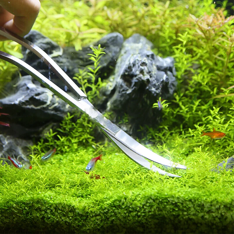 Outils de ciseaux d'aquarium,  - Planted Aquarium Maintenance Kit avis et prix