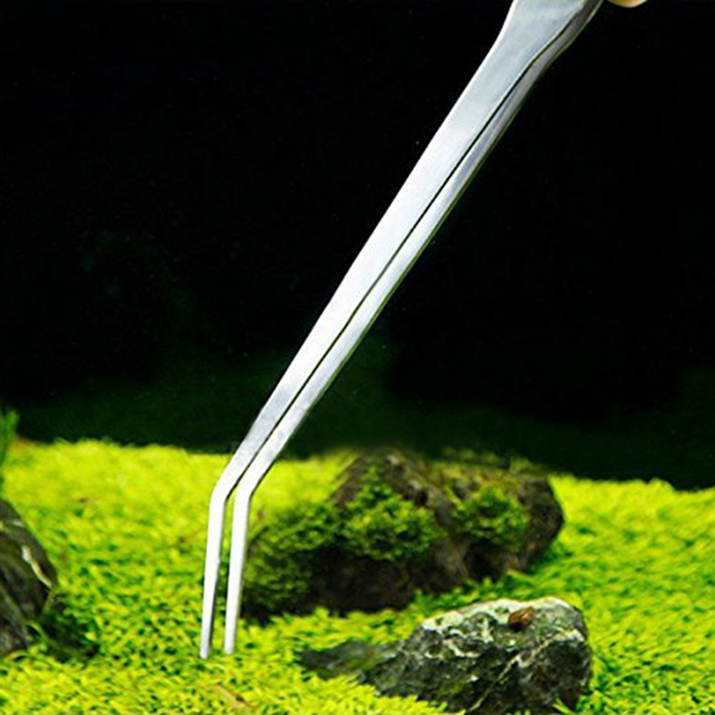Pince courbée en acier inoxyda - Planted Aquarium Carpet Plant avis et prix