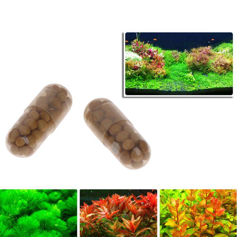 QX2E – onglets de racine d'eng - Aquarium Plant Root Tabs avis et prix