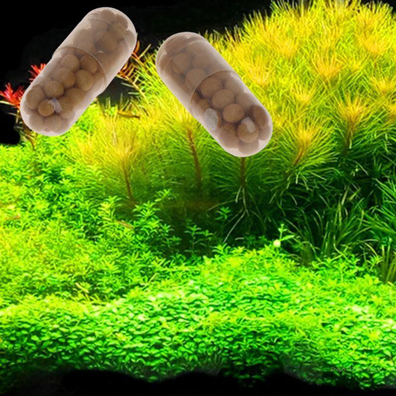 QX2E – onglets de racine d'eng - Aquarium Plant Root Tabs avis et prix