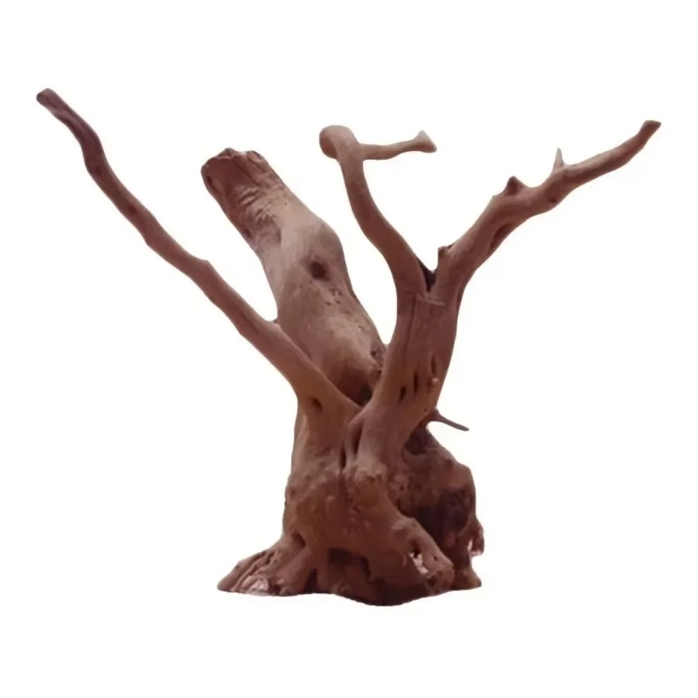 (15-20cm) Décoration d'aquariu - Aquarium Planting Ideas avis et prix