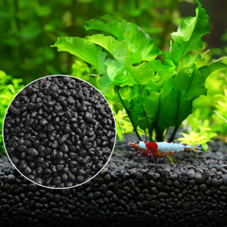 Sol de graines de plantes d'aq - Aquarium Plant In Pot avis et prix
