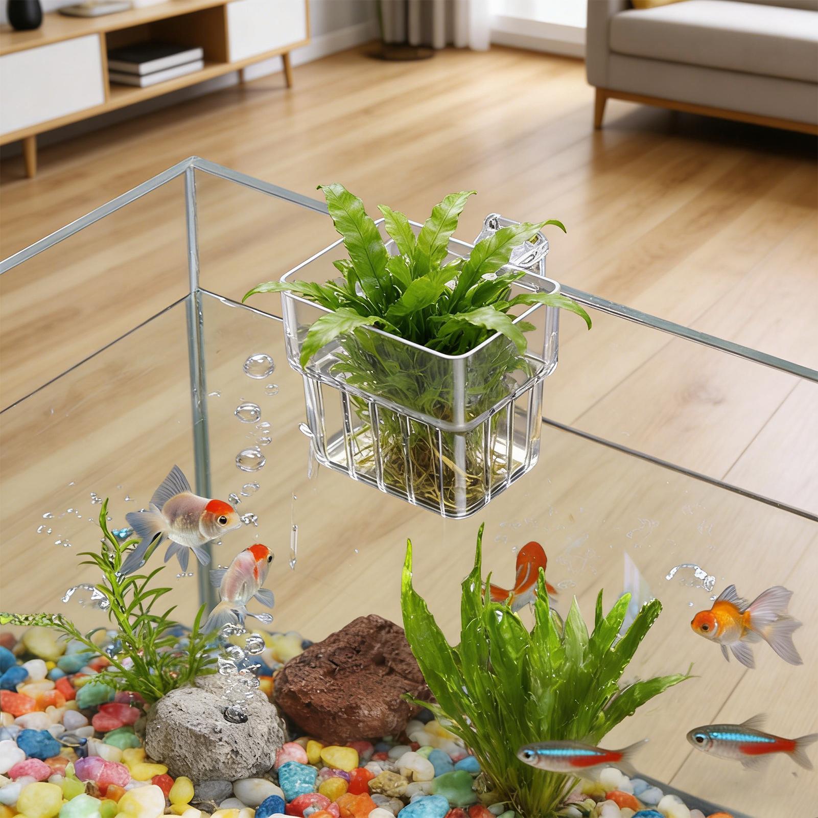 Support transparent suspendabl - Aquarium Planting Ideas avis et prix