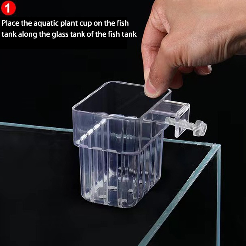 Tasse de plantation d'eau d'aq - Aquarium Planted Fish Tank avis et prix