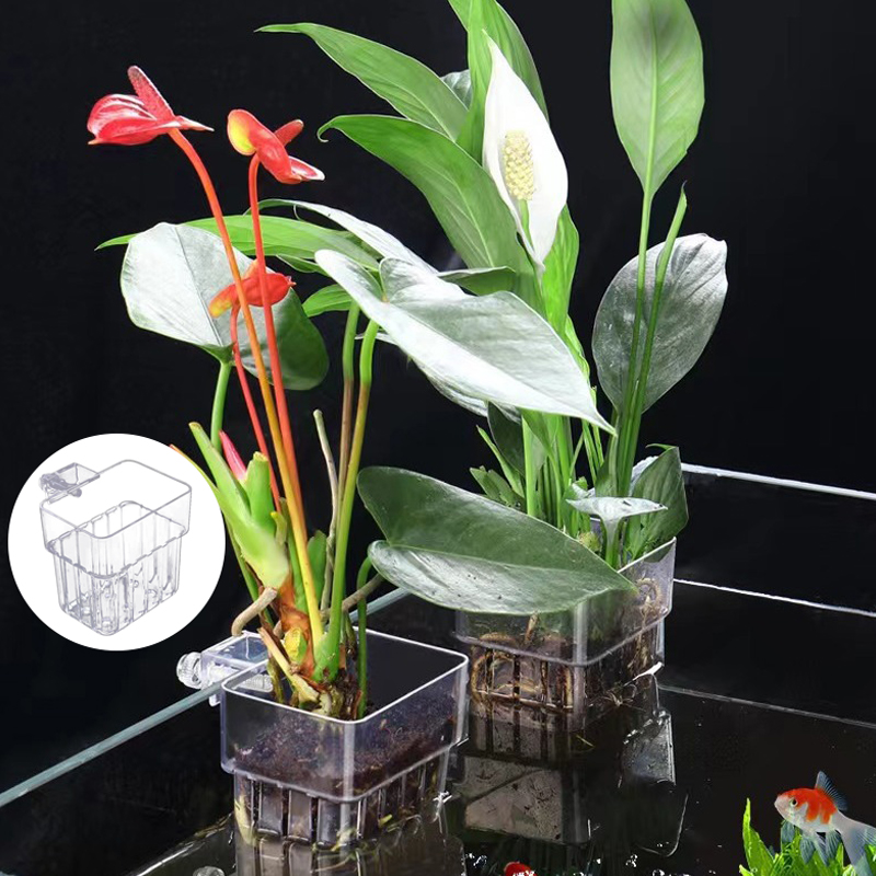 Tasse de plantation d'eau d'aq - Aquarium Planted Fish Tank avis et prix