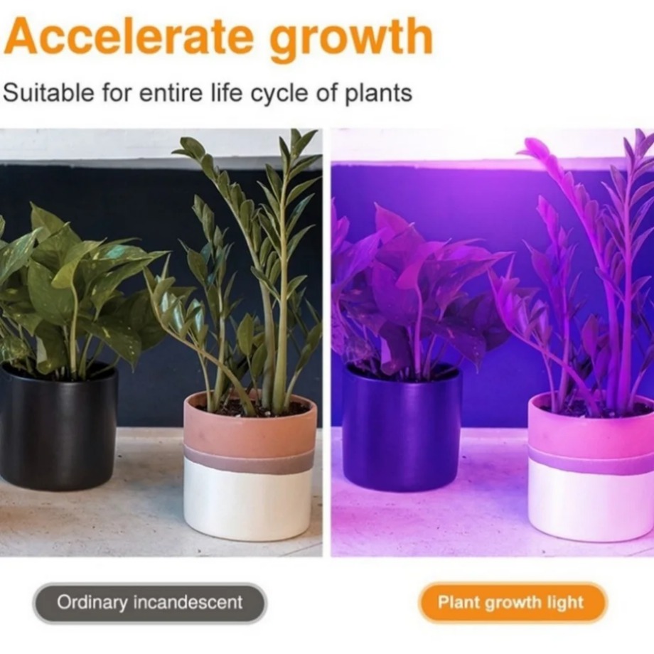 Ampoule LED à spectre complet  - Aquarium Plant Root Tabs avis et prix