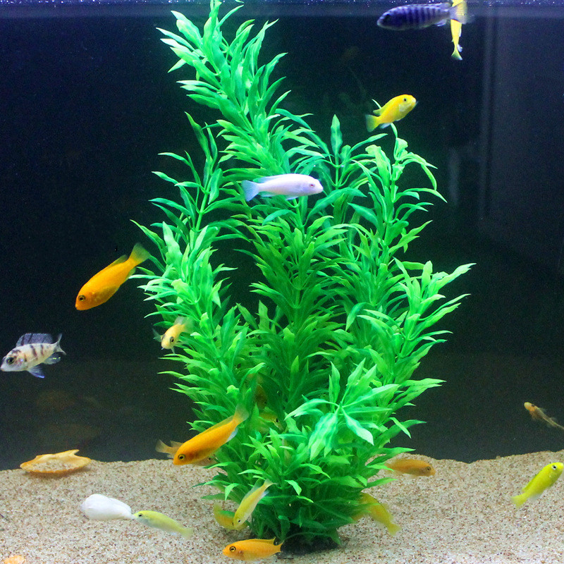 Plantes artificielles pour aqu - Aquarium Planted Fish Tank avis et prix