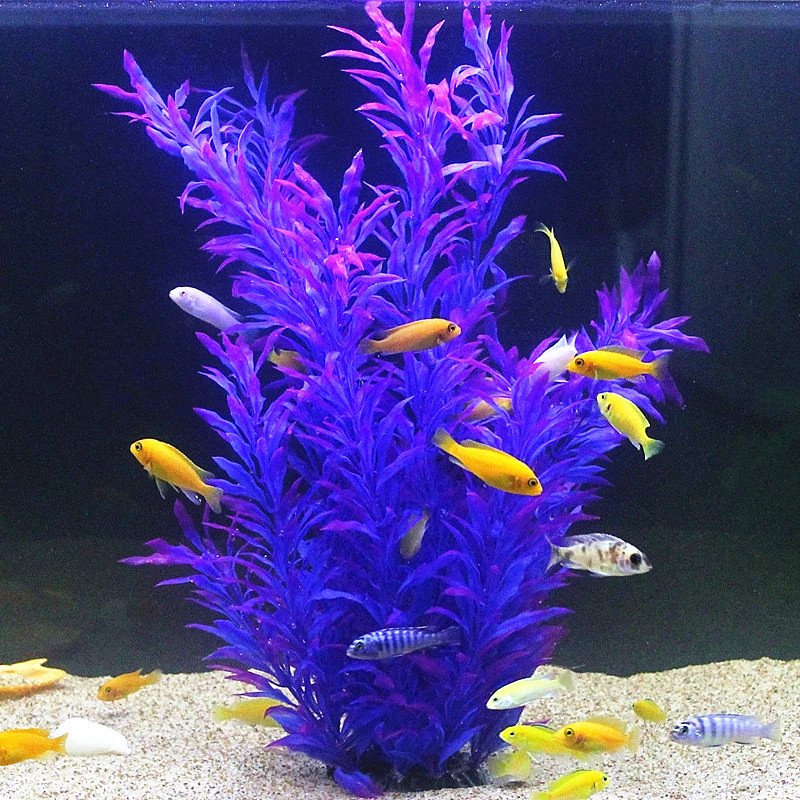 Plantes artificielles pour aqu - Aquarium Planted Fish Tank avis et prix