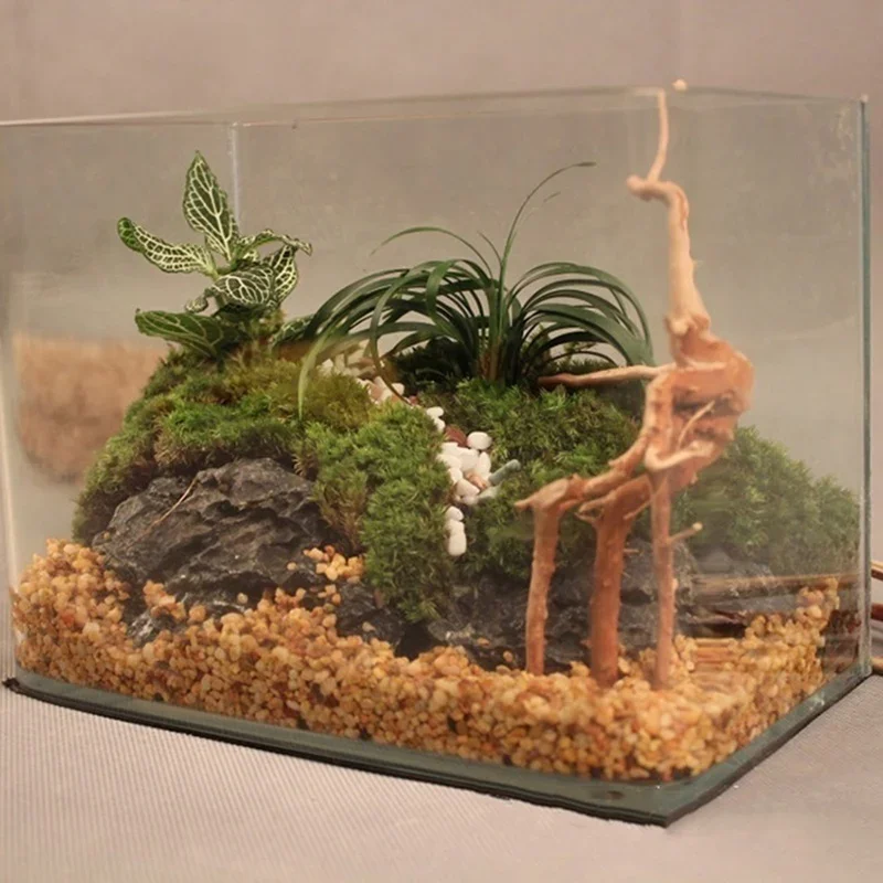 Tronc d'Arbre Naturel en Bois  - Aquarium Plant Root Tabs avis et prix