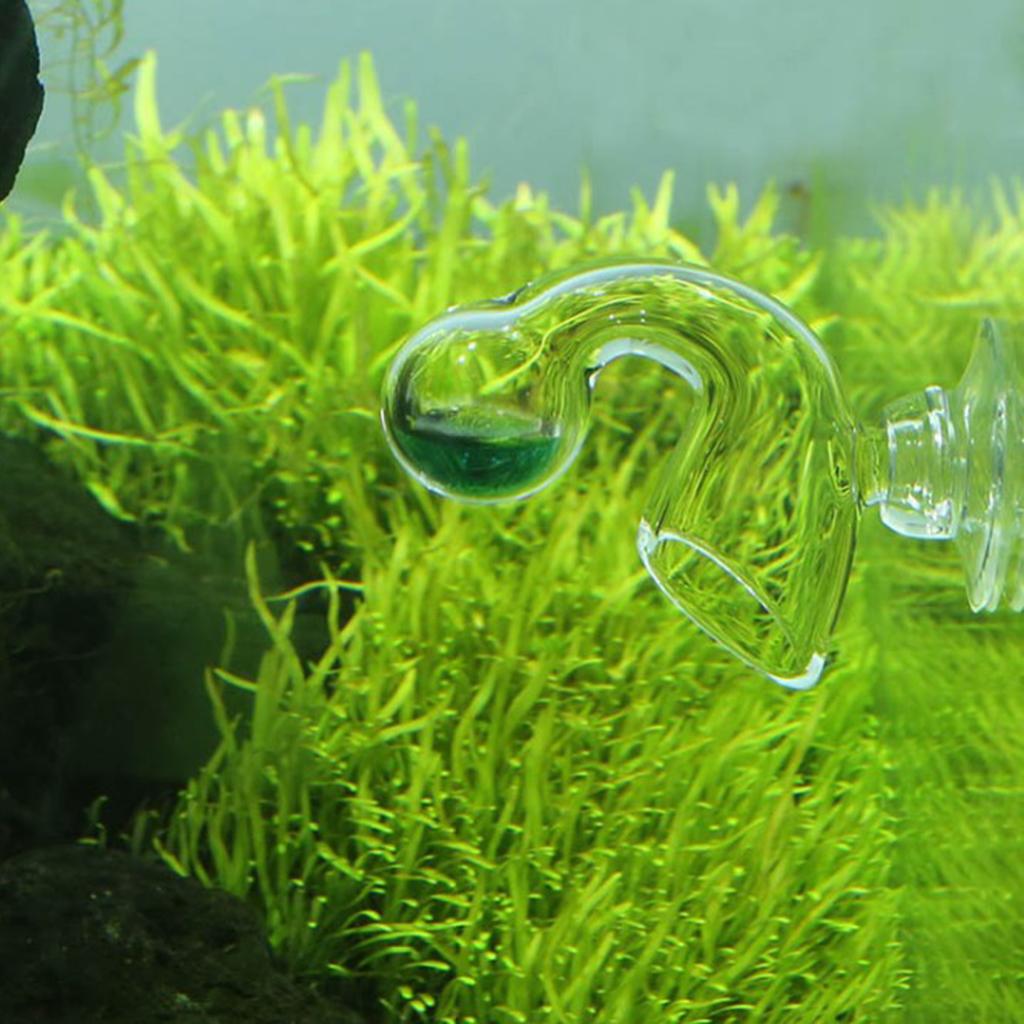 Moniteur de CO2 pour aquarium, - Glass Co2 Drop Checker avis et prix