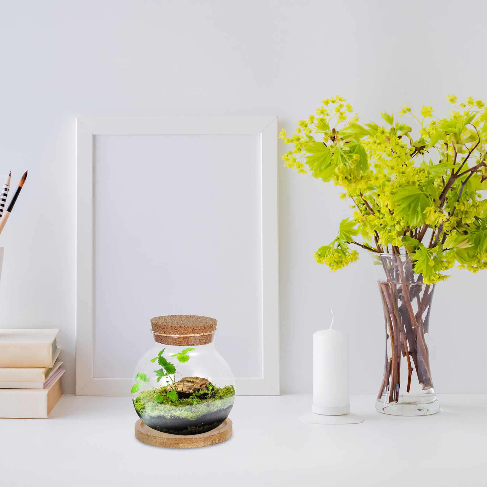 Ensemble de 2 jardinières hydr - Aquarium Plants avis et prix