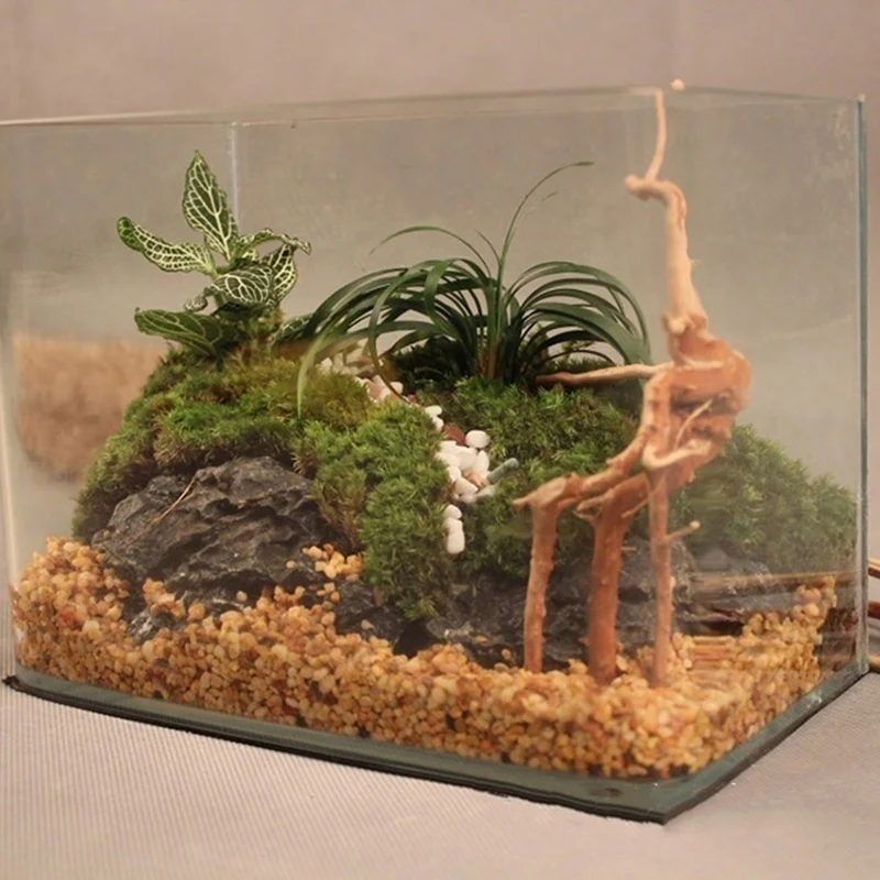 Tronc d'arbre naturel en bois  - Aquarium Plant Root Tabs avis et prix