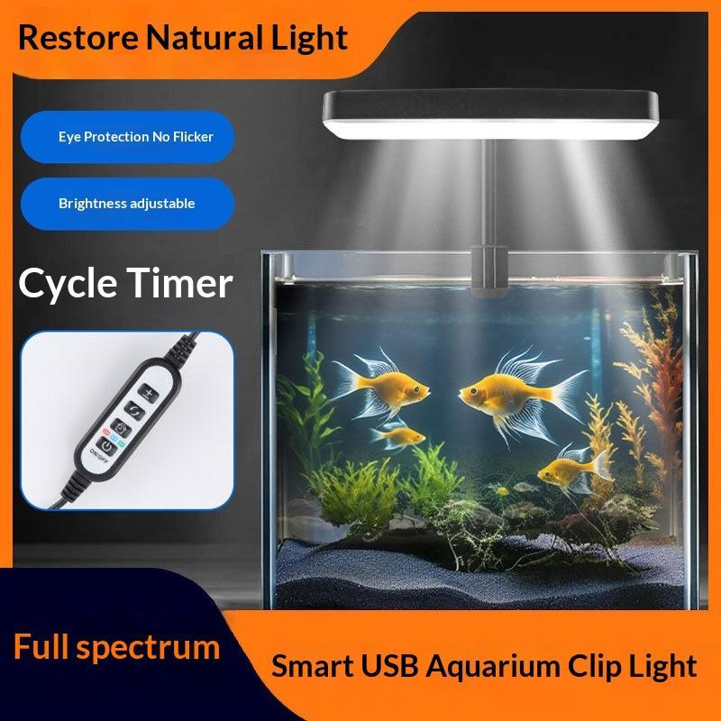 Lumière LED pour aquarium à sp - Aquarium Plants avis et prix