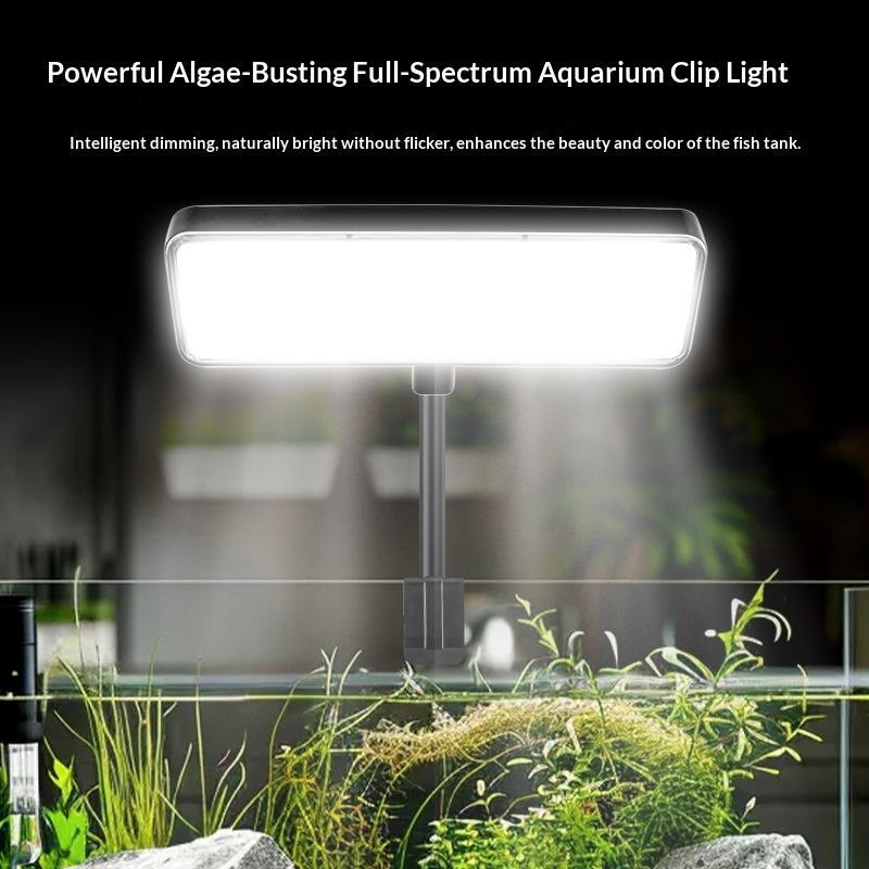 Lumière LED pour aquarium à sp - Aquarium Plants avis et prix