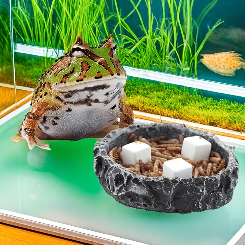 Bloc de Calcium pour Aquarium, - Aquarium Plant Roots avis et prix
